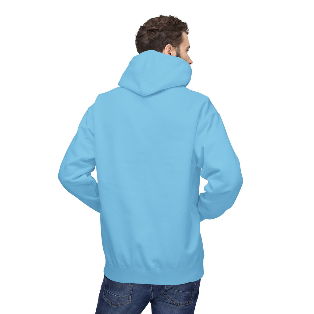Miami Dolphin Hoodie