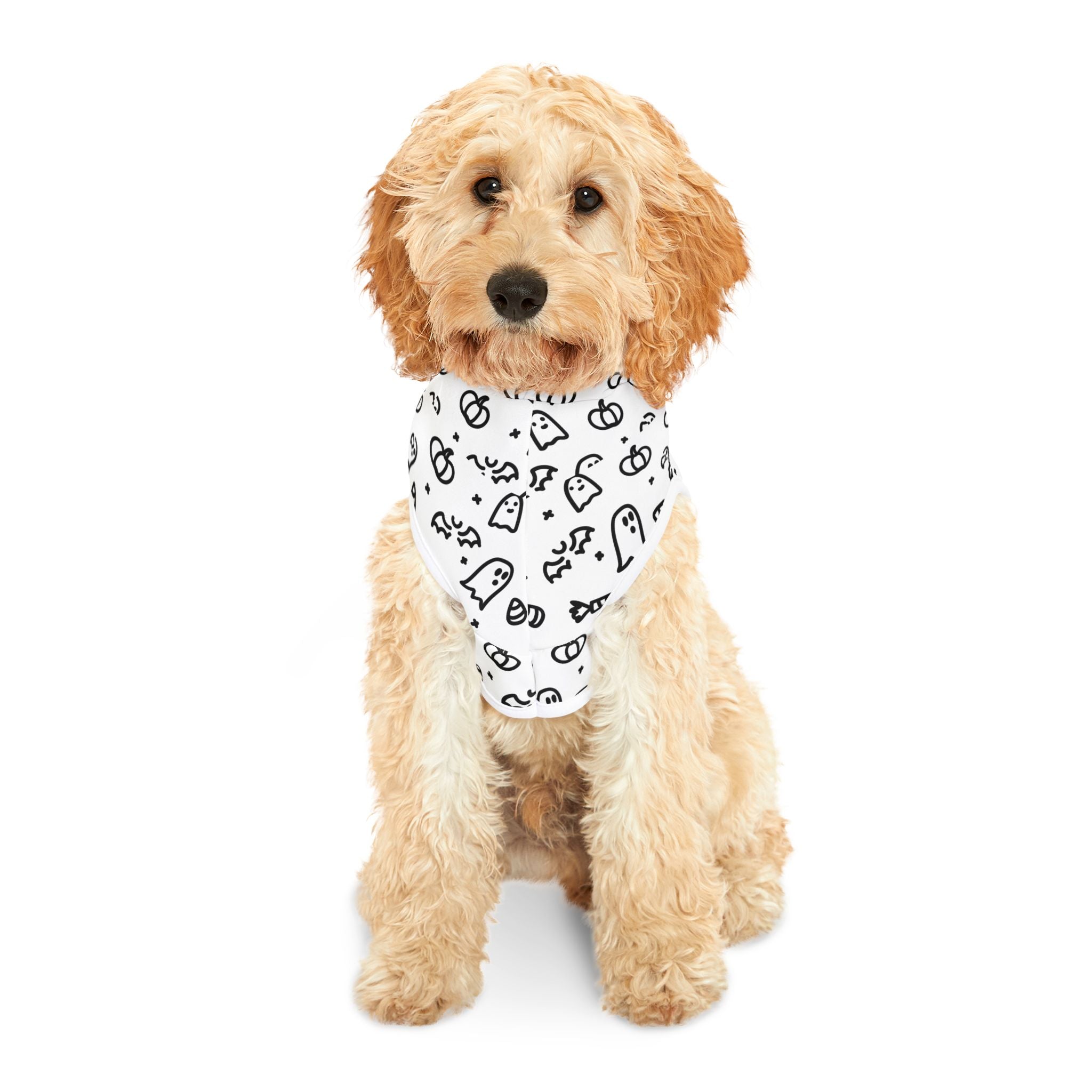 Spooky Pet Hoodie for Halloween