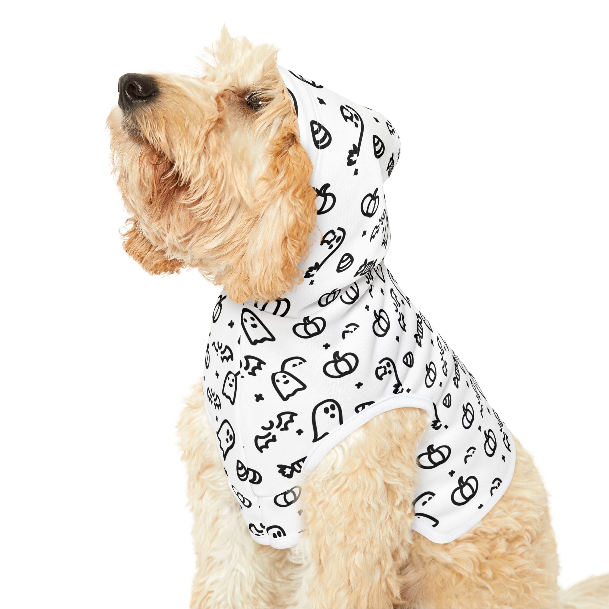 Spooky Pet Hoodie for Halloween